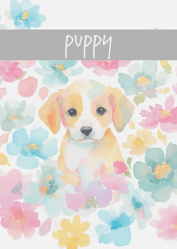 The Puppy's Gaze white