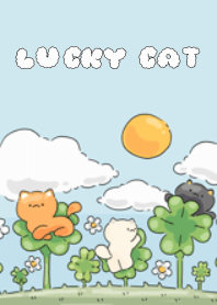 My lucky cats