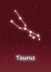 Wishing Constellation.Taurus6