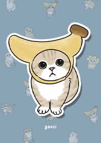 neko combo3 / pale blue