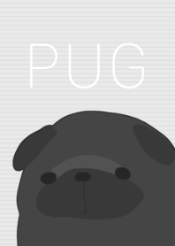 ブラック・パグ