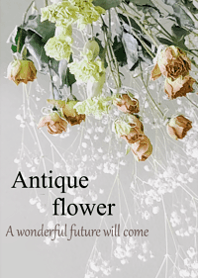 World of Antique dried flower.11