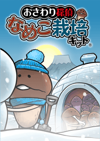 Mushroom Garden - winter -