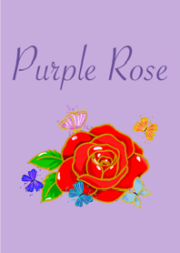 PurpleRed rose