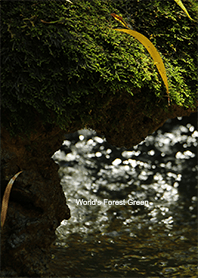 World's Forest Green