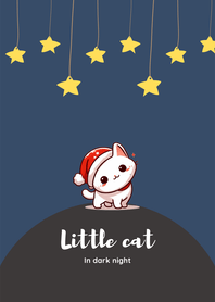 Little cat in dark night x star