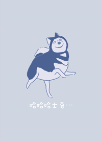 哈哈哈士奇?