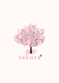 S A K U R A 3