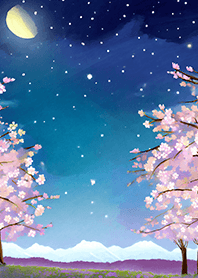 Beautiful night cherry blossoms#642