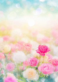 Beautiful rose flower(R3583)