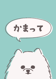 mofumofu white pomeranian2