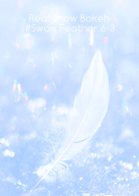 Real Snow Bokeh #Swan Feather 6-3