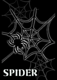 SPIDER and SPIDER WEB.