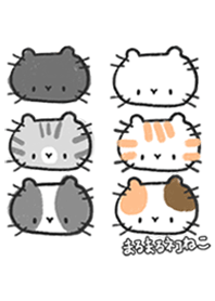 まるまるネコねこ