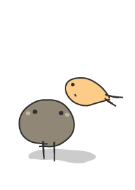 staring - staring-31- follow fish