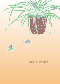 Koala dreams.