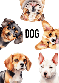 แก๊งหมาสุดน่ารัก