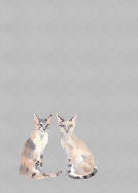 white 落ち着いた猫たち