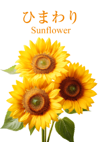 "Sunflower vol.3" theme