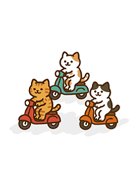 Cat riding a bicycle-White