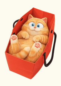 The Orange Cat and the Red Bag