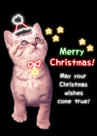 ☆ Christmas 2019 ☆ 9