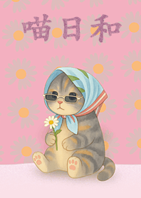 喵日和5