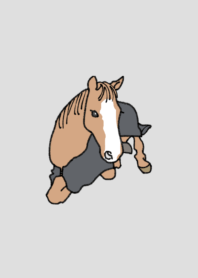 Sugimoto stable horse