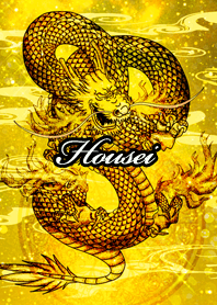 Housei Golden Dragon Money luck UP