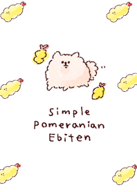 Pomeranian Shrimp heaven White blue.