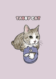 tabbycat6 - taro