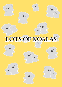 LOTS OF KOALAS/YELLOW