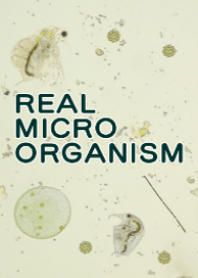 REAL MICROSCOPE ORGANISM
