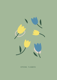 Spring Flowers Tulip