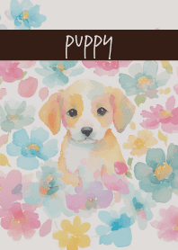 The Puppy's Gaze brown