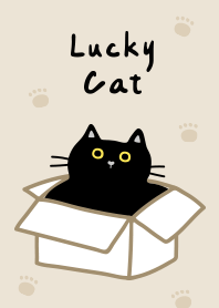 lucky  cat