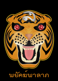 Tiger bring good fortune (Orange)