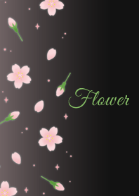 Flower 006-2 (Cherry blossoms/Black)