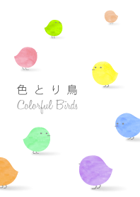 色とり鳥 -Colorful Birds-