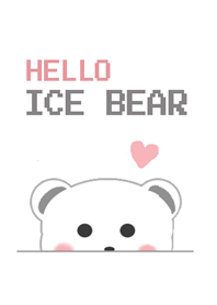 HELLO ICE BEAR