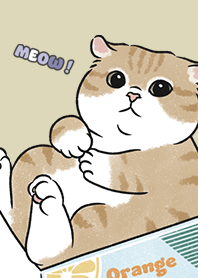 neko single16 / goldenrod