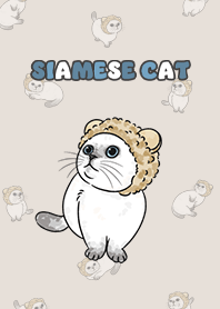 siamesecat6 / dark beige .jp