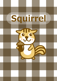Squirrel and check pattern