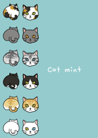 Cat mint