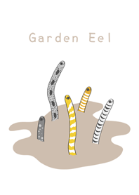 我的花園鰻魚