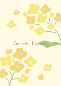 Yurukawa Canola flower