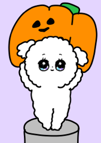 ハロウィン2019/かわいい毎日トイプードル