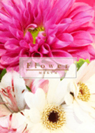 Flower Flower 12 -MEKYM-