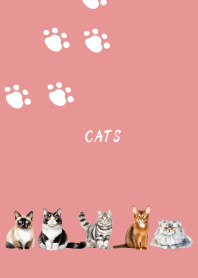 Lovely cats on light pink