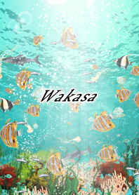 Wakasa Coral & tropical fish2